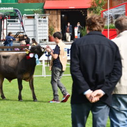 Expo Prado 2019 - Día 3 (93)