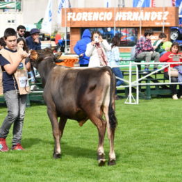 Expo Prado 2019 - Día 3 (95)