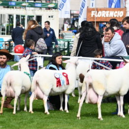 Expo Prado 2019 - Día 3 (97)