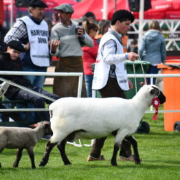 Expo Prado 2019 - Día 3 (98)