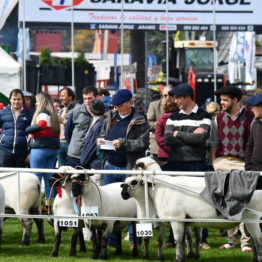 Expo Prado 2019 - Día 3 (99)