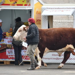 Expo Prado 2019 - Día 4 (101)