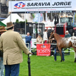 Expo Prado 2019 - Día 4 (107)