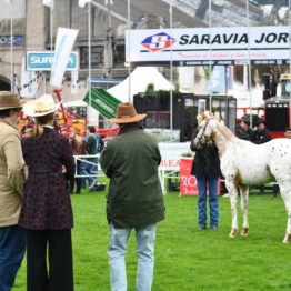 Expo Prado 2019 - Día 4 (118)