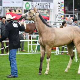 Expo Prado 2019 - Día 4 (127)