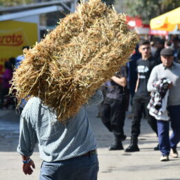 Expo Prado 2019 - Día 4 (173)