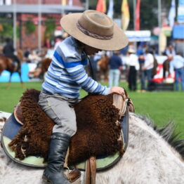 Expo Prado 2019 - Día 4 (177)