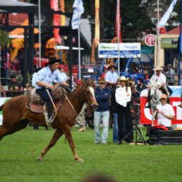 Expo Prado 2019 - Día 4 (181)