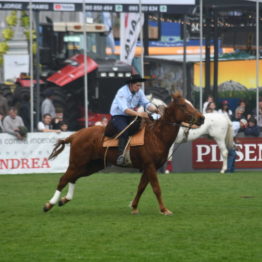 Expo Prado 2019 - Día 4 (183)