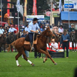 Expo Prado 2019 - Día 4 (184)