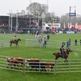 Expo Prado 2019 - Día 4 (202)