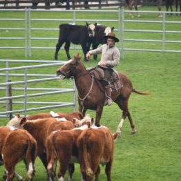 Expo Prado 2019 - Día 4 (203)