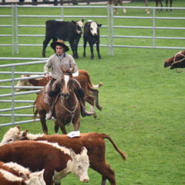 Expo Prado 2019 - Día 4 (204)