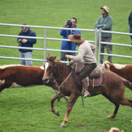 Expo Prado 2019 - Día 4 (205)