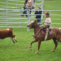 Expo Prado 2019 - Día 4 (206)