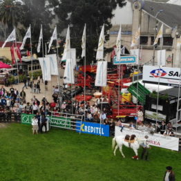 Expo Prado 2019 - Día 4 (3)