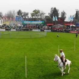 Expo Prado 2019 - Día 4 (8)