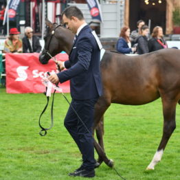 Expo Prado 2019 - Día 4 (88)