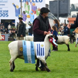 Expo Prado 2019 - Día 5 (104)