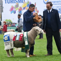 Expo Prado 2019 - Día 5 (110)