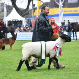 Expo Prado 2019 - Día 5 (114)