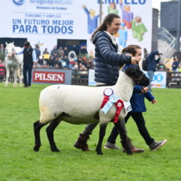 Expo Prado 2019 - Día 5 (115)