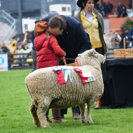 Expo Prado 2019 - Día 5 (118)