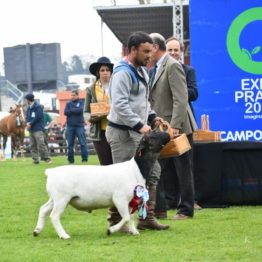 Expo Prado 2019 - Día 5 (120)