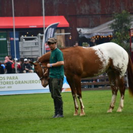 Expo Prado 2019 - Día 5 (126)