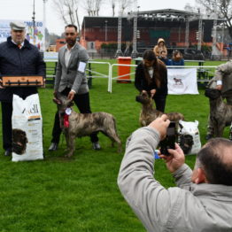 Expo Prado 2019 - Día 5 (24)