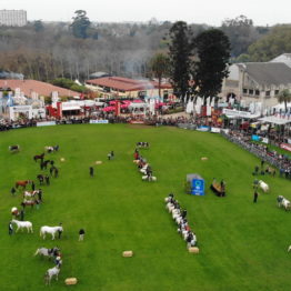 Expo Prado 2019 - Día 5 (4)