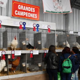 Expo Prado 2019 - Día 5 (41)