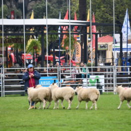 Expo Prado 2019 - Día 5 (54)
