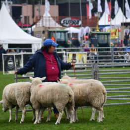 Expo Prado 2019 - Día 5 (59)