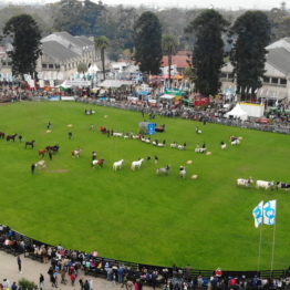 Expo Prado 2019 - Día 5 (8)