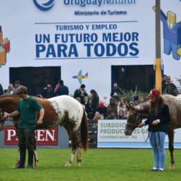 Expo Prado 2019 - Día 5 (83)