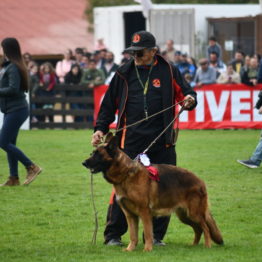 Expo Prado 2019 - Día 5 (85)