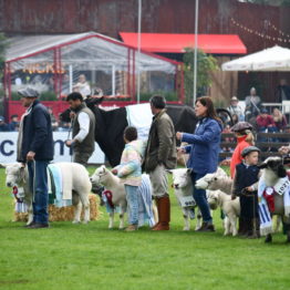 Expo Prado 2019 - Día 5 (87)