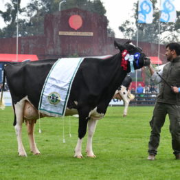 Expo Prado 2019 - Día 5 (88)