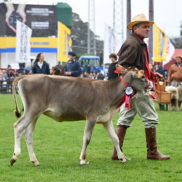 Expo Prado 2019 - Día 5 (91)