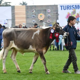 Expo Prado 2019 - Día 5 (92)