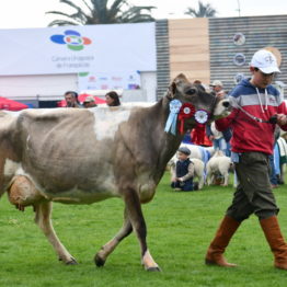 Expo Prado 2019 - Día 5 (93)