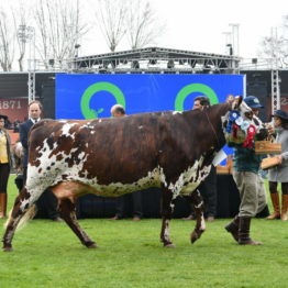 Expo Prado 2019 - Día 5 (94)