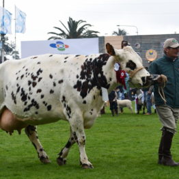 Expo Prado 2019 - Día 5 (96)