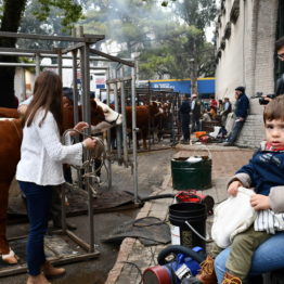 Expo Prado 2019 - Día 7 (107)