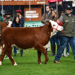 Expo Prado 2019 - Día 7 (11)