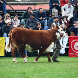 Expo Prado 2019 - Día 7 (119)