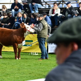 Expo Prado 2019 - Día 7 (12)