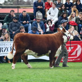 Expo Prado 2019 - Día 7 (120)