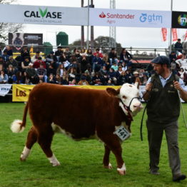 Expo Prado 2019 - Día 7 (121)